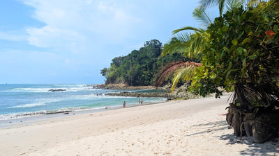 Where to Go in Costa Rica: A Guide to the Best Destinations for Every Type of Traveler