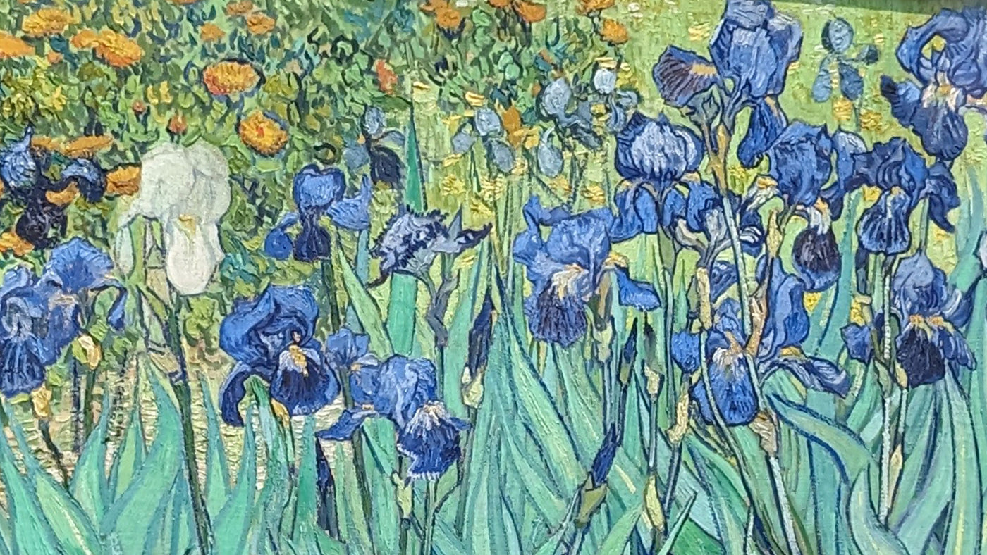 Irises by Van Gogh