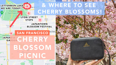 Cherry Blossom Picnic with Elise Crossbody & The BEST Spots for Cherry Blossom Viewing in San Francisco!